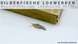 Silberfisch loswerden - Hausmittel und chemische Mittel
