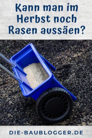 Kann man im Herbst noch Rasen aussäen? DieBaublogger.de