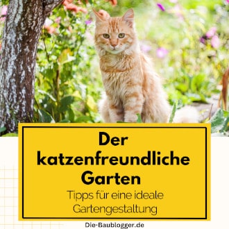 Katzenfreundlicher Garten - Tipps für eine ideale Gartengestaltung