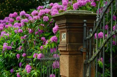 Ein stabiler Gartenzaun - Bild 1