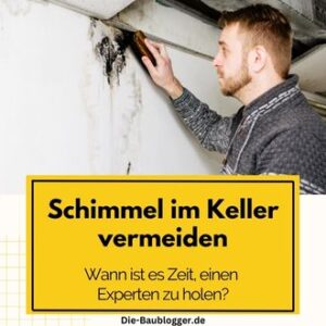Schimmel im Keller vermeiden - Wann ist es Zeit einen Experten zu holen